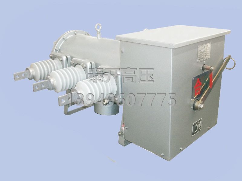 LW3-12高壓六氟化硫斷路器-2